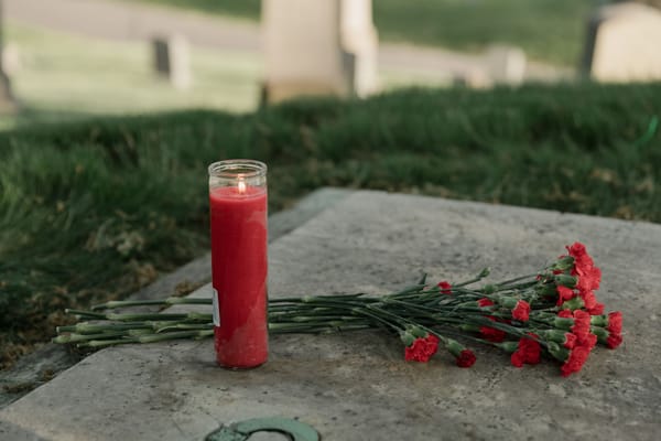 A red memorial candle and carnations resting on a grave